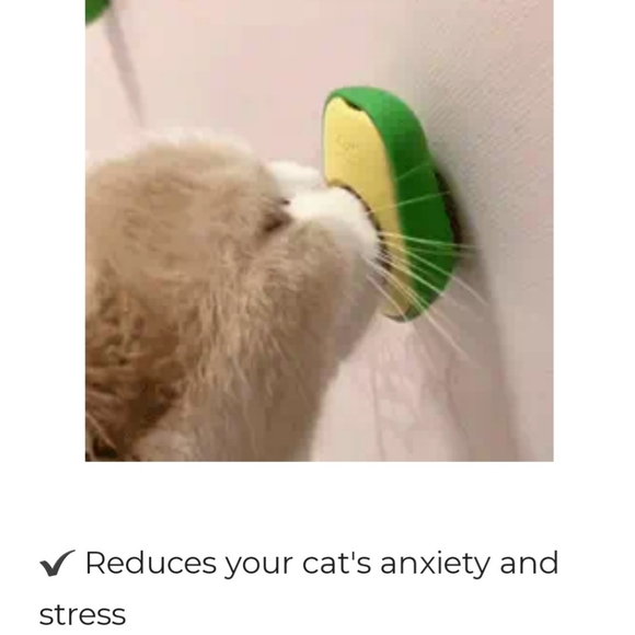 Avogato catnip toy - Picture 3 of 8